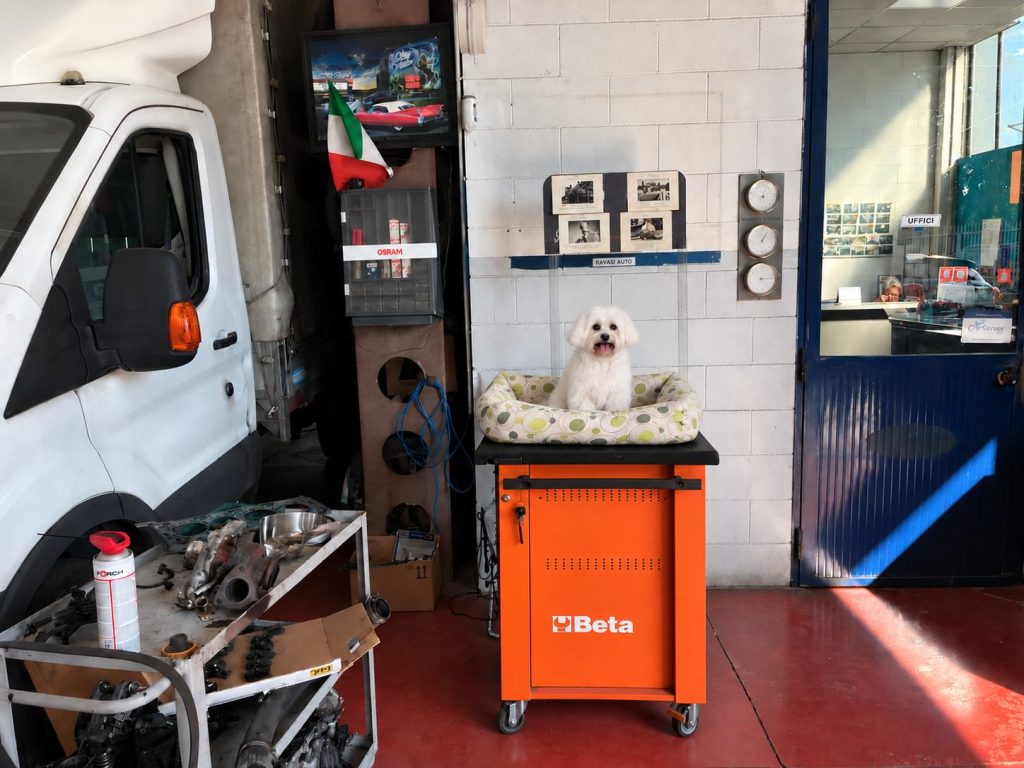 Riparazioni auto Gear up service
